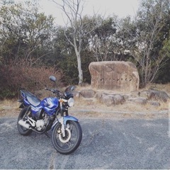 ybr125