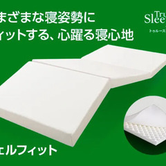 トゥルースリーパー ウェルフィット ダブル マットレス 中反発 ...