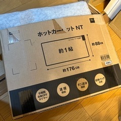 ホットカーペットの画像