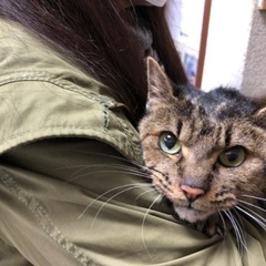 生涯可愛がってくださる方に