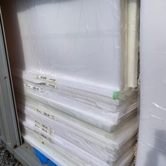 ②2月末まで延長　最終価格　養生パネル　プラダン　未使用品　20枚入の画像