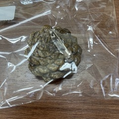 松ぼっくり　花　キーホルダー　１つ250円！の画像