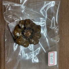 松ぼっくり　花　キーホルダー　１つ250円！の画像
