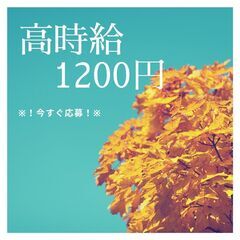 収入・休み・環境の3拍子で快適勤務♪フォークリフトスタッフ！日払いOK◎今なら入社祝金プレゼント♪【nk】A40Q0054-3(2)の画像