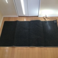 新品同様 ニトリホットカーペット 1畳用
