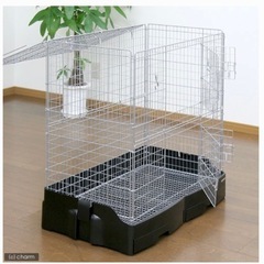 チンチラ飼育の中古が安い!激安で譲ります・無料であげます チンチラ飼育の中古が安い!激安で譲ります・無料であげます