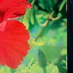 割引あり【格安】SONY/VAIO/F-VGN-FW94FS/6GB/フリーズしない。の画像