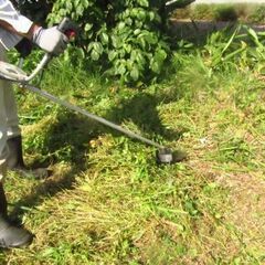 【残り１社】沖縄県で草木伐採が行える方を募集中！！
