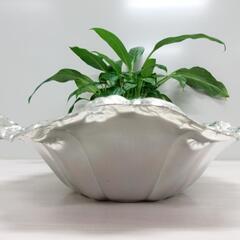 ■おしゃれな深型ボウル■の画像