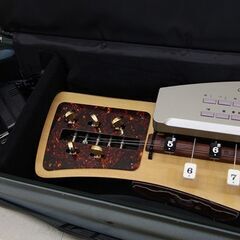 スズキ TES-151 電子大正琴 SA-22 アンプ SUZUKI あゆ (E1159kwknY)