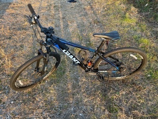 ジャイアント美車‼️