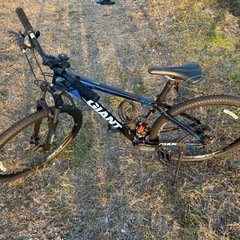 ジャイアント美車‼️