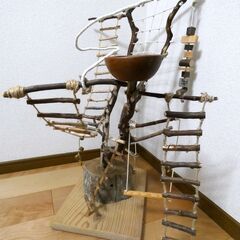 バードジム 小鳥用