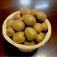 【商談中15】キウイフルーツ(東京ゴールド)1.3kg
