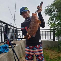 釣り友達募集🎣ショアジギング　コブダイ　カンダイ