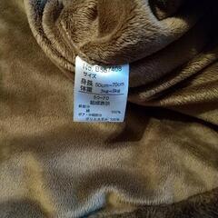 ポンチョ 50～70サイズの画像