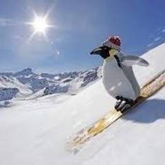 スノボー仲間募集‼️
