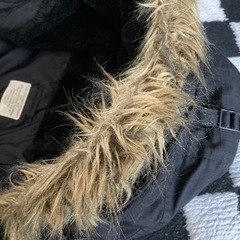 ジャケット！の画像