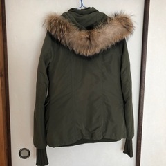 SLYの画像