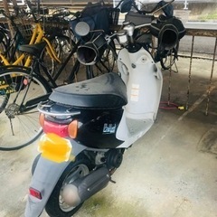 早い者勝ち！原付スズキ、レッツ4パレット