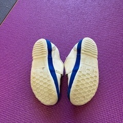 教育パワーシューズ　16.5センチ　上履きの画像