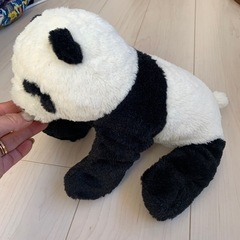 ぬいぐるみ差し上げますの画像