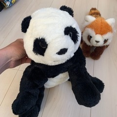 ぬいぐるみ差し上げますの画像
