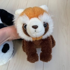 ぬいぐるみ差し上げますの画像