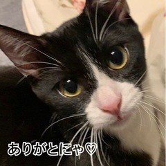譲渡決定しました1