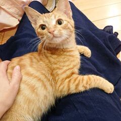 面会予約あり。募集一時停止します。