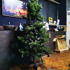 クリスマスツリー　　大型