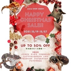 期間経過！年内の販売は終了です😊