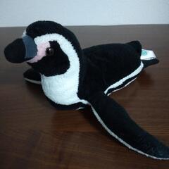 ペンギンのぬいぐるみ