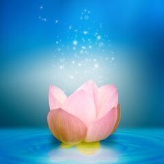 「サイキック能力を知る」が無料で学べる！　【１月　特別企画講座】の画像