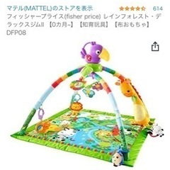 レインフォレストデラックスジム　美品