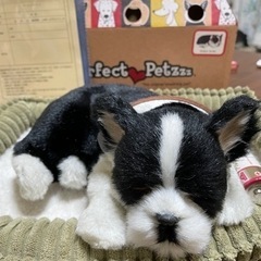 パーフェクトペット