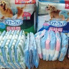 犬用マナーウエア S 男の子用＆兼用  ＋ バラ