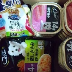 老犬用ご飯