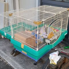 ぺっとかご