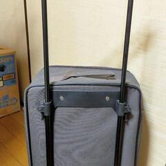 保冷機能付き簡易キャリーバッグの画像