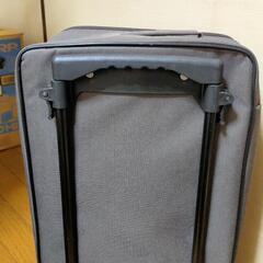 保冷機能付き簡易キャリーバッグの画像