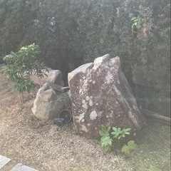 庭石　踏み石　縁側石　鑑賞用岩　お譲りしますの画像