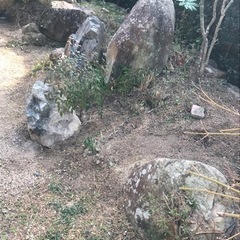 庭石　踏み石　縁側石　鑑賞用岩　お譲りしますの画像