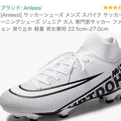  【お譲り先決定】スパイク　27cm