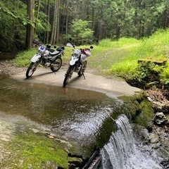 オフロードバイクで一緒に林道を走りましょう！