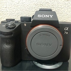 （Sold）(極上美品)(特別値下げ)Sonyソニーミラーレス一...