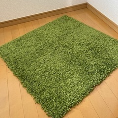 IKEA正方形80ミニカーペット