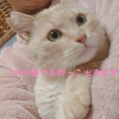 されるがまま♡ゴロスリ癒しのBigBoss🐻