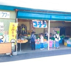 令和3年度　ふっくりんこ100% 精白米5kg(目減り無し) お...