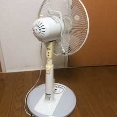 扇風機お譲りします【1/28まで】の画像